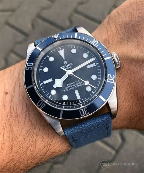 tudor biwan|tudor black bay blue.